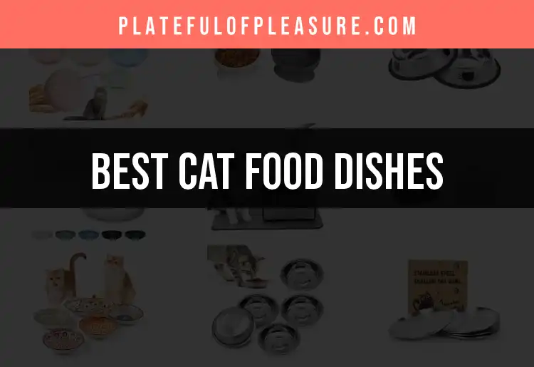 17 Cute and Clever Cat Food Dishes for Feline Feastings featured