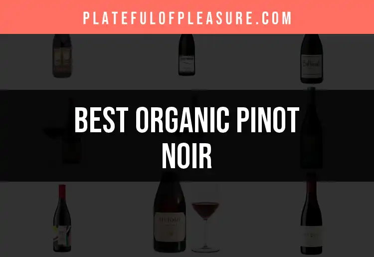Top 10 Organic Pinot Noir Picks for True Connoisseurs