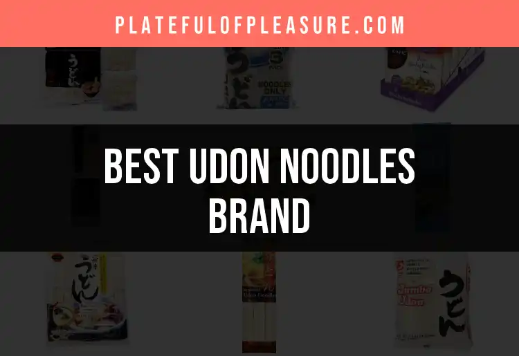 14 Top Udon Noodles Brands for Smooth, Delicious Bowls featured